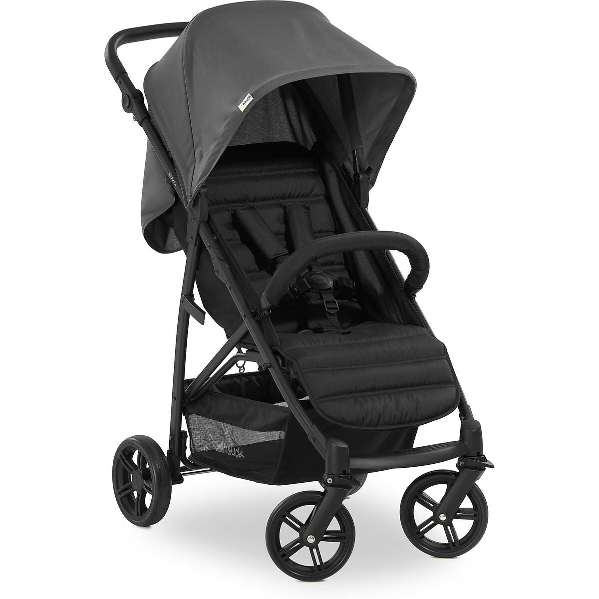Poussette pour bébé Hauck Gris - Babycute