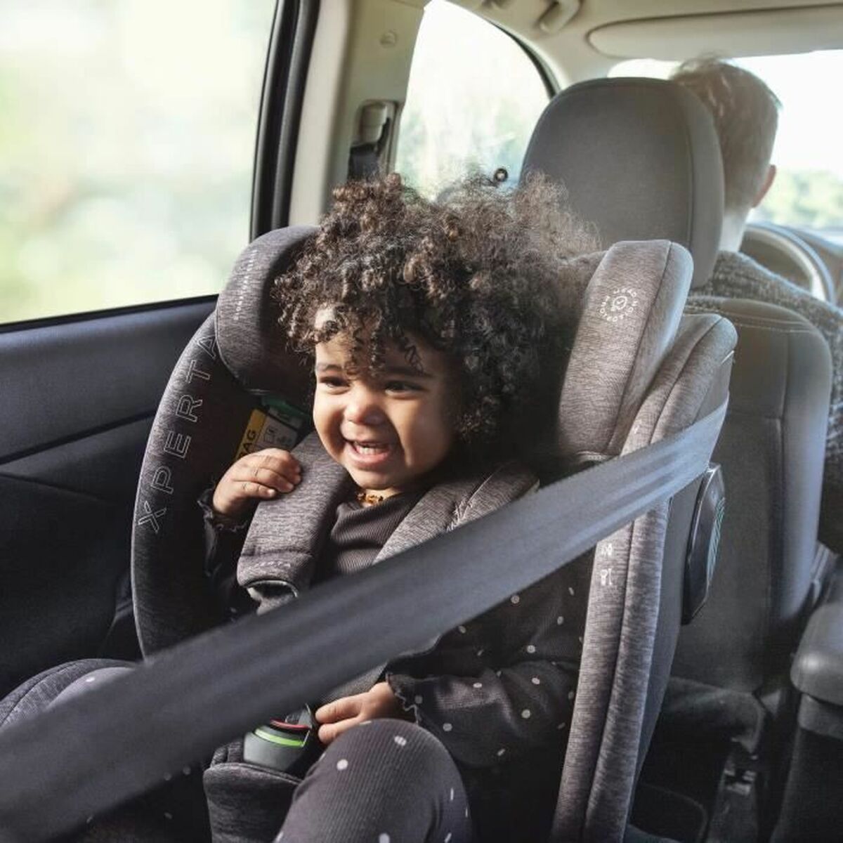 Siège de Voiture Babyauto XPERTA GREY DOBBY Gris 0 (de 0 a 10 kilos) I (9 - 18 kg) II (15 - 25 kg) III (22 - 36 kg) Enfant ECE R12 - Babycute